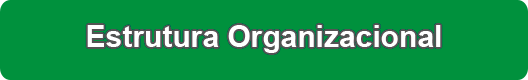 estrutura_organizacional.png