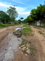 Babá Tupinambá requer melhorias e limpeza nas ruas do loteamento Shangai   