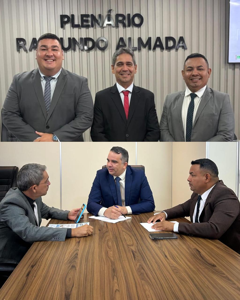 Comissões de Segurança Pública e Meio Ambiente se reúnem para debater ações integradas contra o crime e pela preservação ambiental