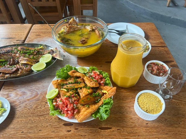 Geração de Renda: Projeto de lei da Vereadora Márcia Baranda visa oficializar Festival Gastronômico em Parintins