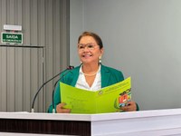 Márcia Baranda propõe realização periódica da Feira do Artesão na Casa da Cultura