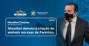 Massilon denuncia circulação de animais nas ruas de Parintins   