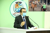 Massilon solicita apoio ao MP para o cumprimento da Lei que proíbe circulação de animais de grande porte na área urbana de Parintins   