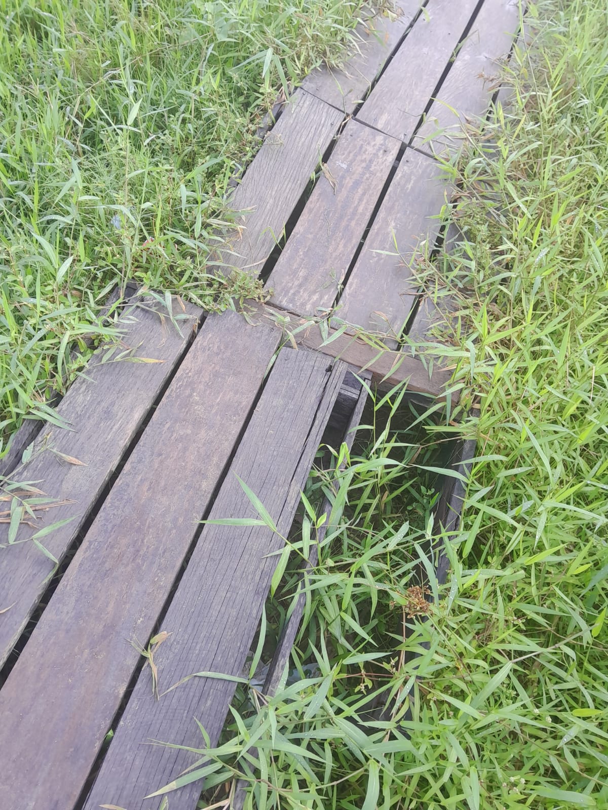 Naldo Lima solicita manutenção da ponte de madeira no bairro Nova Conquista