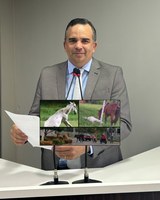 Vereador Marcus Cursino cobra aplicação da Lei nº 790/2021 sobre animais de grande porte soltos em vias públicas