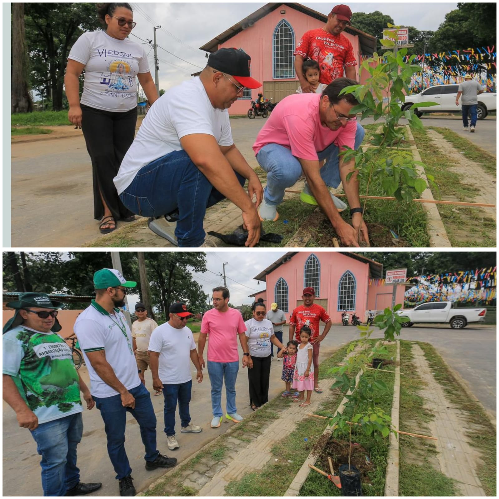 Vereador Naldo Lima destaca incentivo ao Projeto de Arborização Urbana e Rural no município de Parintins