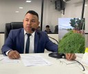 Vereador Naldo Lima encaminha pedido de capina e limpeza das orlas da cidade