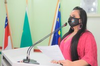 Vereadora apresenta relatório com ações de enfrentamento à Covid-19