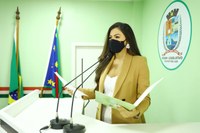 Vereadora Brena Dianná apresenta projeto de Lei de Transparência e combate à corrupção   