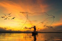 Vereadora Márcia Baranda cria Lei Nº 952/2024 e Parintins ganha a Semana da Pescadora e do Pescador