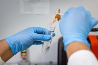 Vereadora Márcia Baranda solicita criação de Programa de Monitoramento Ambiental para comunidades rurais de Parintins