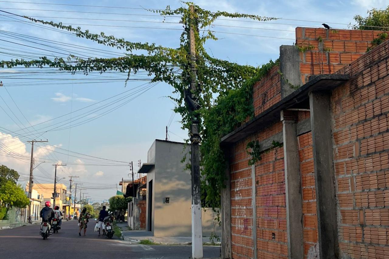 Vereadora Márcia Baranda solicita limpeza de vegetação em poste no bairro Palmares