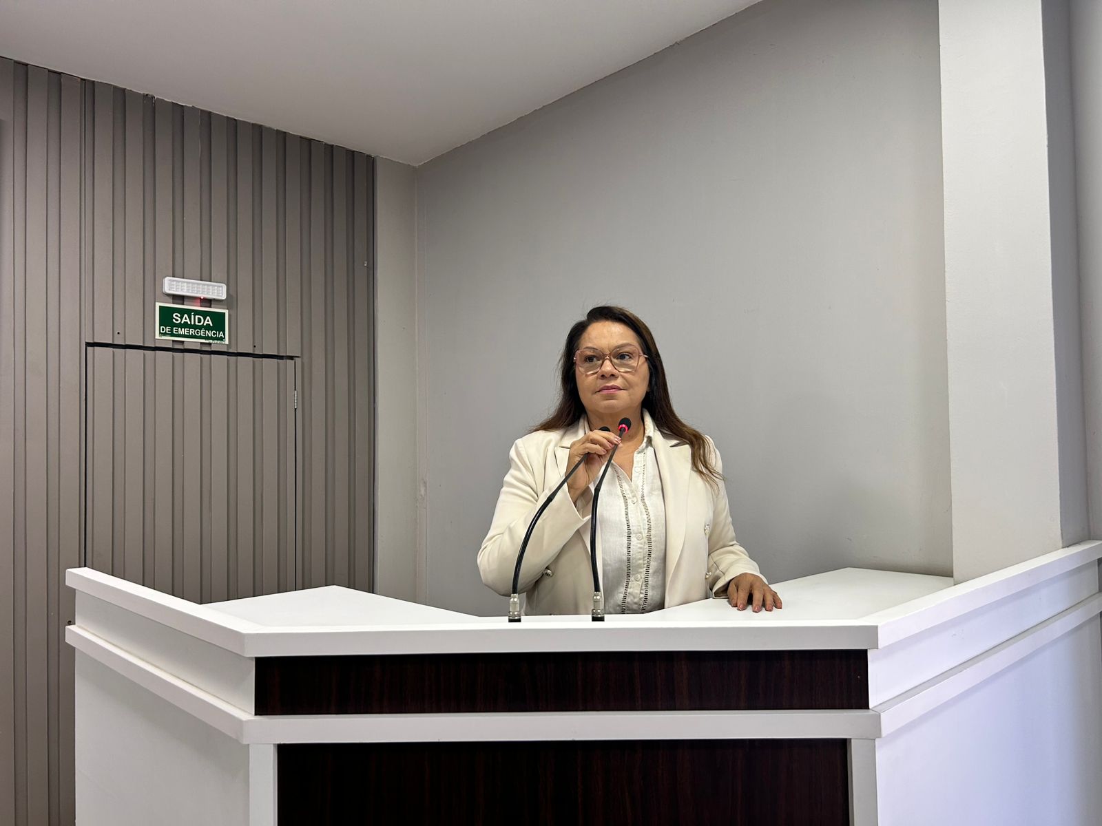 Vereadora Márcia Baranda solicita manutenção urgente na ponte da Comunidade de Santa Terezinha